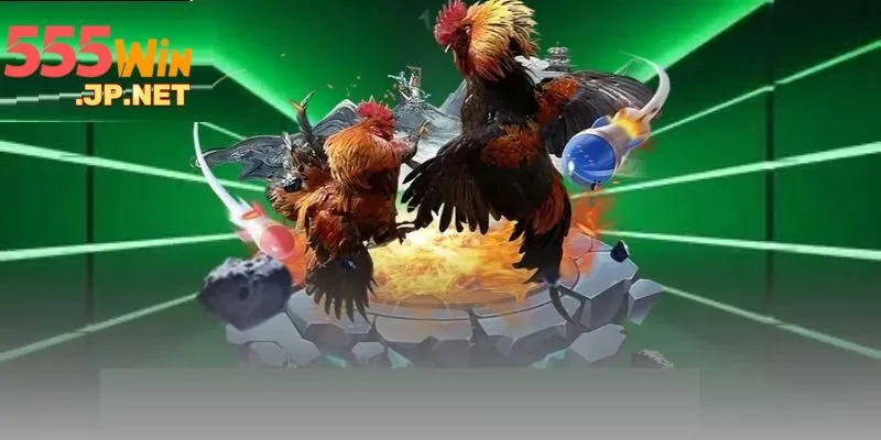 Đa dạng hình thức đá gà được nhà cái tung ra